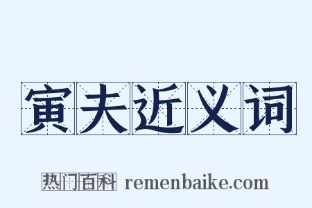 寅夫近义词是什么意思的图片